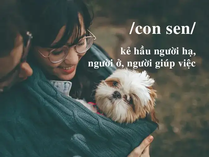 Một nhóm bạn trẻ đang trò chuyện vui vẻ, minh họa sự phổ biến của thuật ngữ con sen là gì trong giao tiếp hàng ngày.