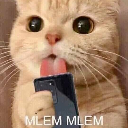 Hình ảnh meme một chú chó đang liếm môi, biểu tượng của từ lóng mlem mlem trên mạng xã hội
