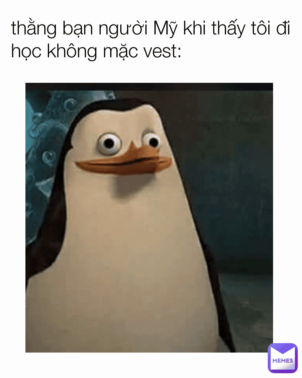 Meme Penguin minh họa tình huống dở khóc dở cười thường gặp của giới trẻ