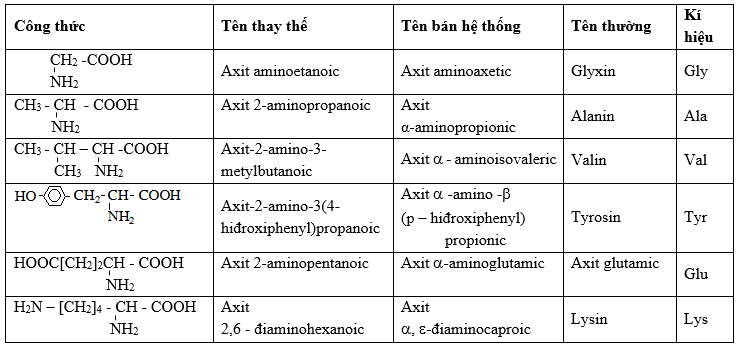 Vai trò đa dạng của amino axit trong cấu tạo protein và chức năng sinh học