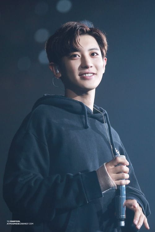 Nghệ sĩ Park Chanyeol trên sân khấu