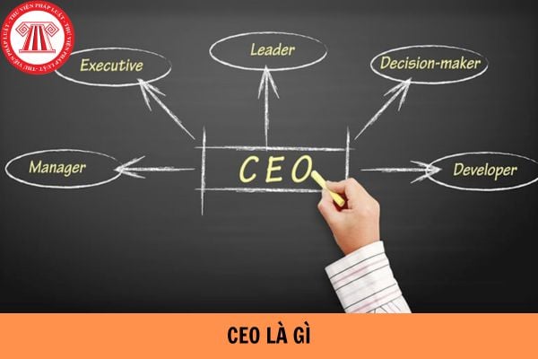 CEO là gì và vai trò lãnh đạo doanh nghiệp