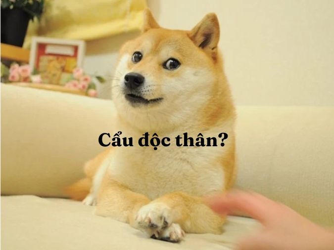 Hình ảnh chú chó con đang nhìn chằm chằm vào bát cơm, tượng trưng cho "ăn cơm chó"