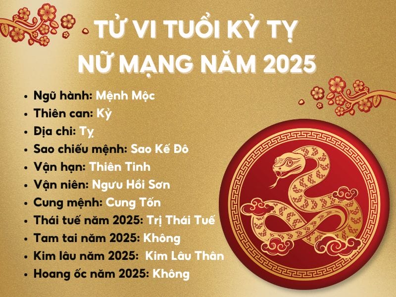 Bảng phân tích tử vi chi tiết cho người tuổi Tỵ theo năm sinh và giới tính