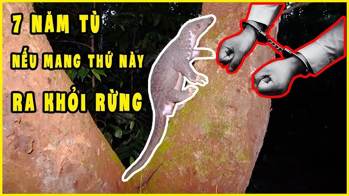 Vẻ đẹp múp tự nhiên của phụ nữ với vóc dáng đầy đặn, khỏe khoắn