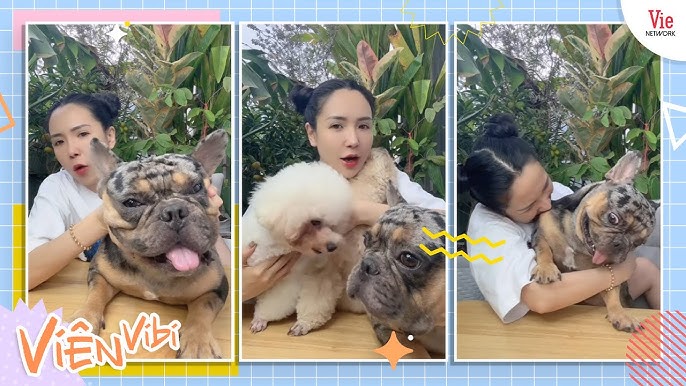 Viên Vibi với kiểu tóc "miêu nữ" đặc trưng và bộ trang phục tôn dáng