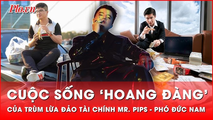 Video TikTok của Mr Pips với nội dung mời gọi đầu tư chứng khoán và ngoại hối