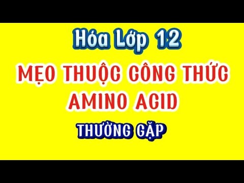 Hình minh họa 20 loại amino axit khác nhau với các nhóm R đặc trưng