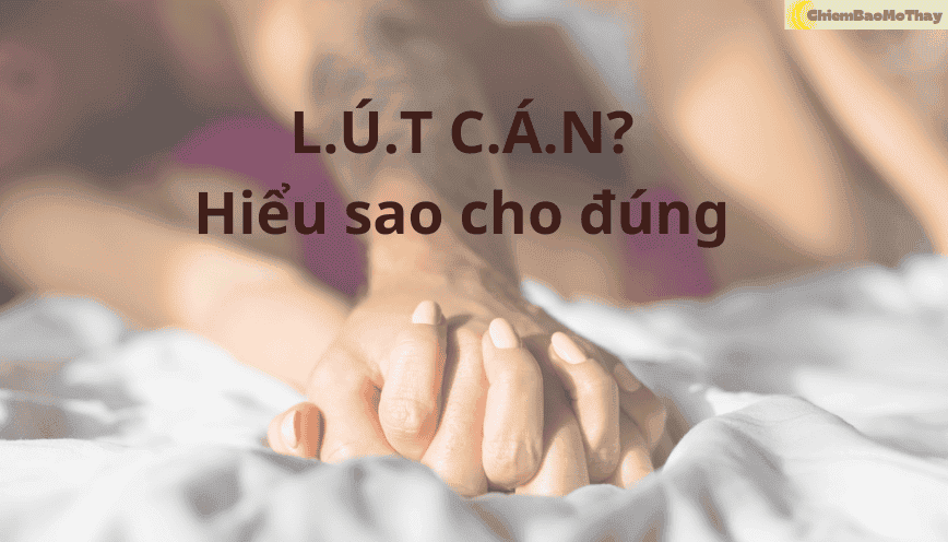 Cặp đôi đang ôm nhau tình tứ, thể hiện sự gần gũi trong quan hệ, minh họa cho lút cán là gì và khoái cảm tình dục.