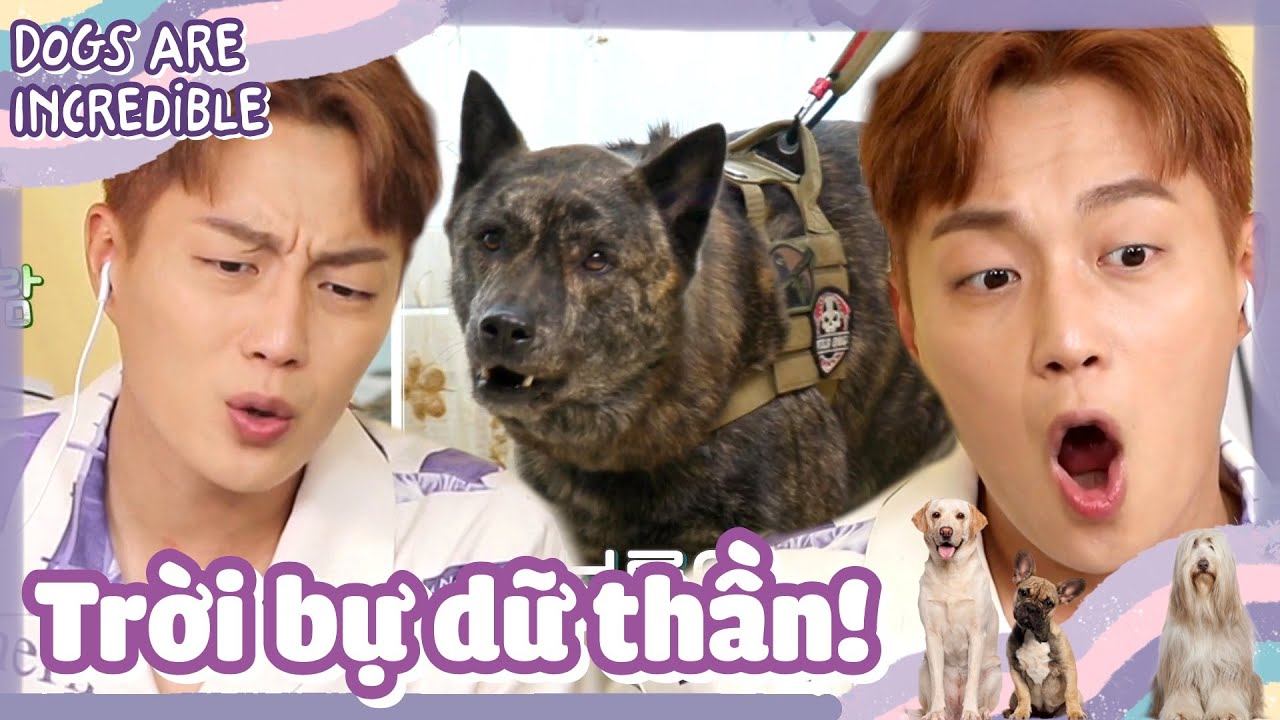 Nghệ sĩ Doojoon trong khoảnh khắc trầm tư, thể hiện sự mệt mỏi của cuộc sống idol