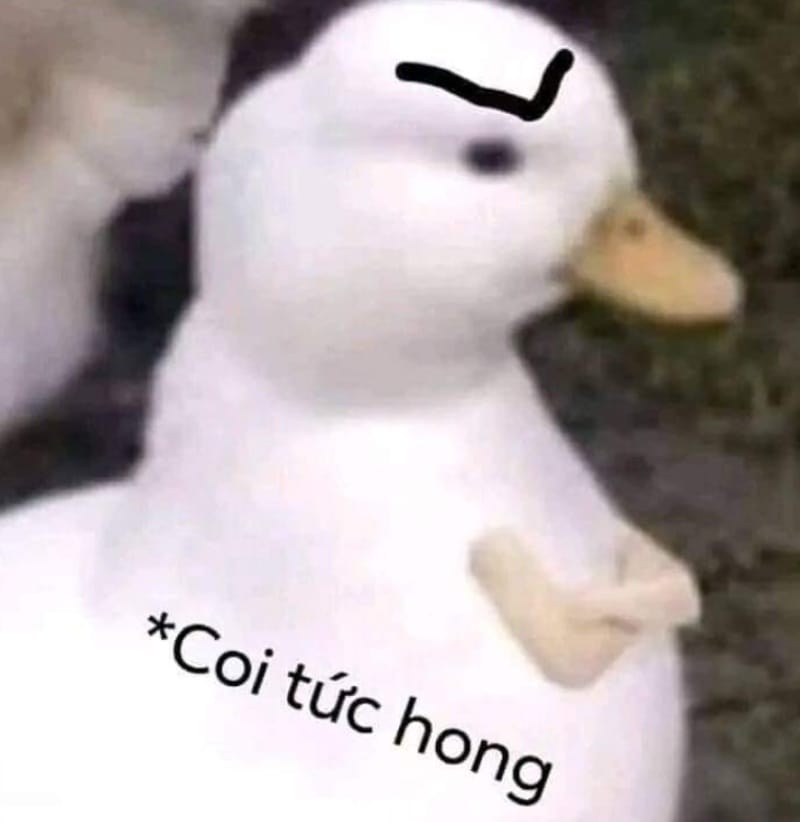Meme gian du thể hiện sự phản ứng mạnh mẽ trước các sự kiện xã hội