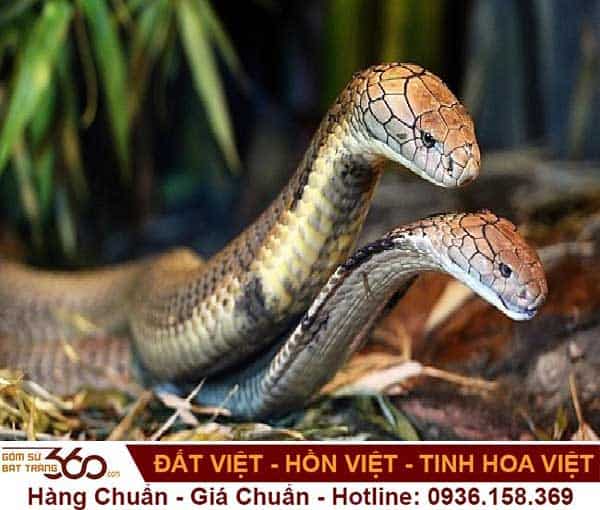 Ý nghĩa khi mơ thấy hai con rắn quấn nhau và các điềm báo