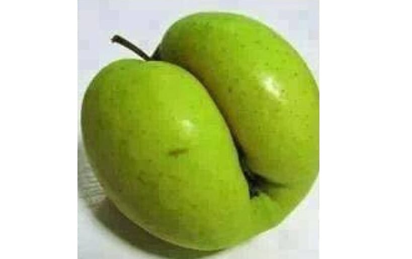 Người dân Nghệ An nghỉ ngơi trên bãi cỏ