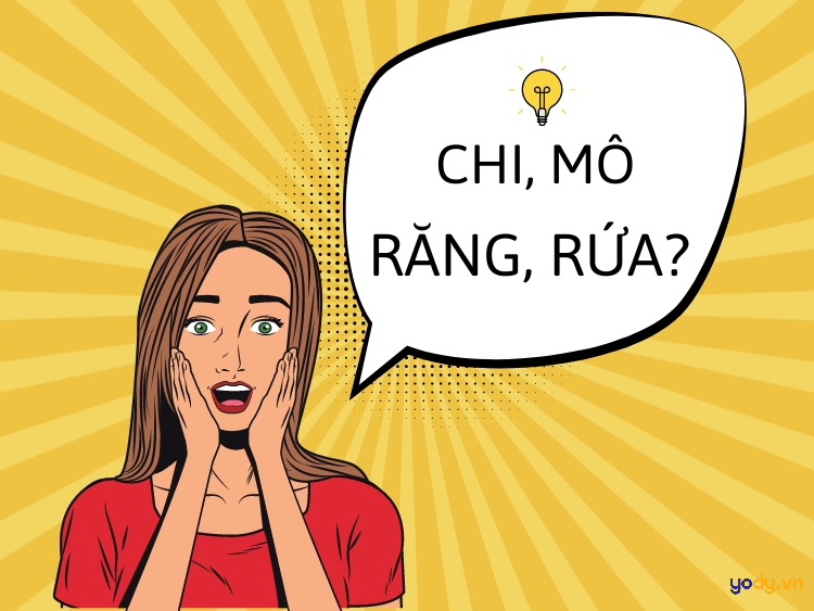 Nhóm bạn trẻ đang trò chuyện sôi nổi, khám phá sự thú vị của từ rứa là gì và tiếng địa phương miền Trung.