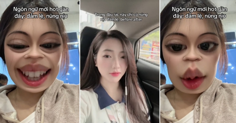 Đồ ăn nũng nịu đẫm lệ với biểu cảm độc đáo và hấp dẫn